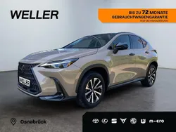 Beige Gebraucht 2024 Lexus NX350h E-FOUR SUV | 56.990 € (Fairer Preis)