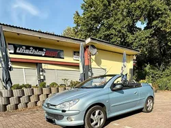 Grau Gebraucht 2006 Peugeot 206 CC Cabrio | 2.300 € (Etwas zu teuer)
