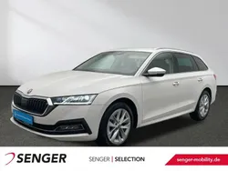 Weiß Gebraucht 2022 Skoda Octavia Style Kombi | 25.880 € (Fairer Preis)