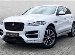 Yulong white Gebraucht 2016 Jaguar F-Pace R-Sport SUV | 24.980 € (Teuer)