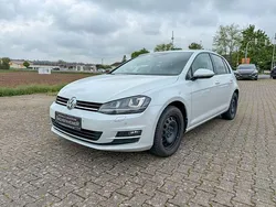 Weiß Gebraucht 2016 VW Golf VII Allstar Limousine | 13.590 € (Fairer Preis)