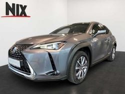 Basaltgrau Gebraucht 2021 Lexus UX 300e Executive Line SUV | 28.850 € (Teuer)
