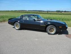 Schwarz Gebraucht 1979 Pontiac Trans Am Coupé | 56.000 €