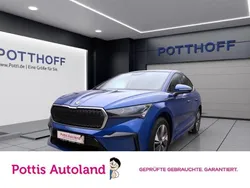 Blau Gebraucht 2024 Skoda Enyaq iV SUV | 38.977 €