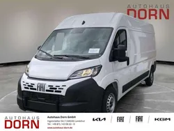 Weiß Neu 2025 Fiat Ducato Van | 37.990 € (Superpreis)