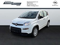 Weiß Gebraucht 2024 Fiat Panda Limousine | 15.660 € (Etwas zu teuer)