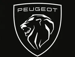 Schwarz Gebraucht 2023 Peugeot 208 Allure Kleinwagen | 19.990 € (Teuer)