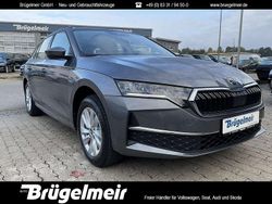 Graphitegrau Neu 2025 Skoda Octavia Selection Kombi | 32.490 € (Superpreis)