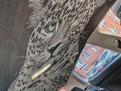 Silber Gebraucht 2007 VW Golf Goal Coupé | 1.800 € (Fairer Preis)