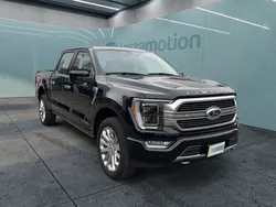 Schwarz Gebraucht 2023 Ford F-150 Limited Abholung | 78.716 €
