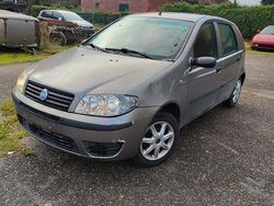 Braun Gebraucht 2004 Fiat Punto Limousine | 1.300 € (Teuer)