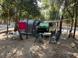 Grün Gebraucht 1989 VW T3 Van | 12.790 €