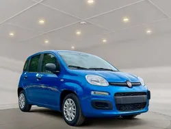 Blau Neu 2025 Fiat Panda Kleinwagen | 14.990 € (Fairer Preis)