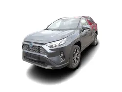 Grau Neu 2024 Toyota RAV4 Team SUV | 52.537 €