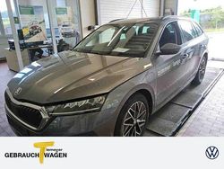 Grau Gebraucht 2022 Skoda Octavia Ambition Kombi | 20.940 € (Guter Preis)