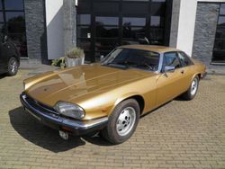 Gold Gebraucht 1982 Jaguar XJS Limousine | 10.000 €