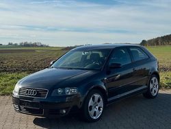 Schwarz Gebraucht 2004 Audi A3 Kleinwagen | 2.800 € (Etwas zu teuer)