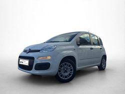 Weiß Gebraucht 2017 Fiat Panda Easy Limousine | 10.971 € (Teuer)