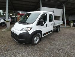 Icy white Neu 2025 Toyota Proace Van / Kleinbus | 35.500 € (Fairer Preis)