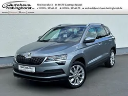 Grau Gebraucht 2018 Skoda Karoq Ambition SUV | 21.990 € (Fairer Preis)