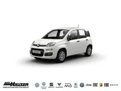 Weiss Neu 2025 Fiat Panda Kleinwagen | 17.885 €