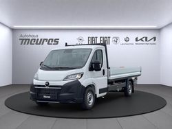 Weiss Neu 2025 Opel Movano Van | 30.280 € (Guter Preis)