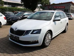Weiß Gebraucht 2018 Skoda Octavia Kombi | 15.990 € (Etwas zu teuer)