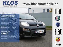 Schwarz Gebraucht 2024 Fiat Panda Kleinwagen | 13.490 € (Fairer Preis)