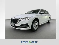 Weiss Gebraucht 2024 Skoda Octavia Kombi | 29.890 € (Fairer Preis)