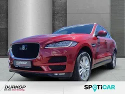 Rot Gebraucht 2017 Jaguar F-Pace Prestige SUV | 21.990 € (Superpreis)