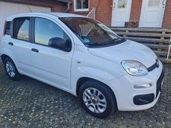 Schwarz Gebraucht 2018 Fiat Panda Easy Kombi | 6.850 € (Guter Preis)