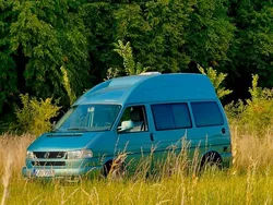 Grün Gebraucht 2003 VW T4 California Van | 21.899 €