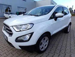 Weiß Gebraucht 2019 Ford Ecosport Trend SUV | 13.950 € (Etwas zu teuer)