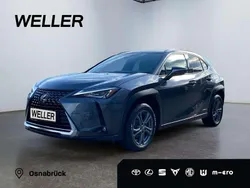 Grau Gebraucht 2022 Lexus UX 250h SUV | 26.990 € (Guter Preis)