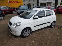 Weiß Gebraucht 2009 Kia Picanto Kleinwagen | 1.950 € (Fairer Preis)