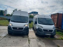 Gebraucht 2019 Fiat Ducato Van | 15.500 € (Teuer)