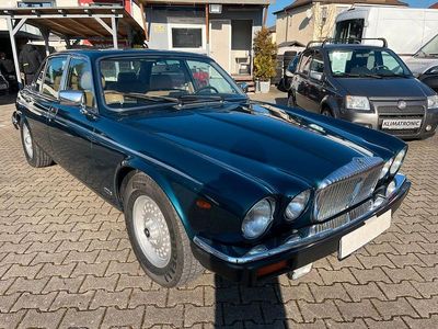 Grün Gebraucht 1991 Jaguar XJ12 Limousine | 13.900 €