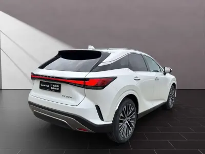 Gebraucht Lexus RX350h Executive Line 250 PS (183 kW) 2026 Sonic white SUV
