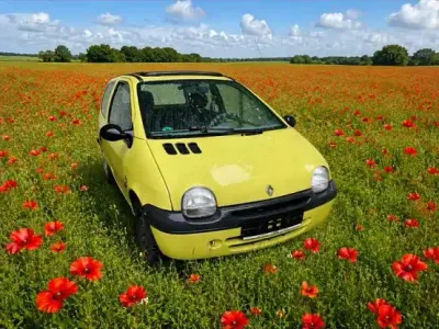 Brugt Renault Twingo