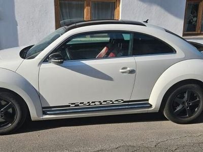 VW Beetle
