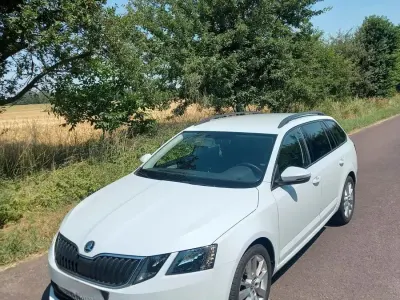 Gebraucht Skoda Octavia 150 PS (110 kW) 2018 Weiß Kombi