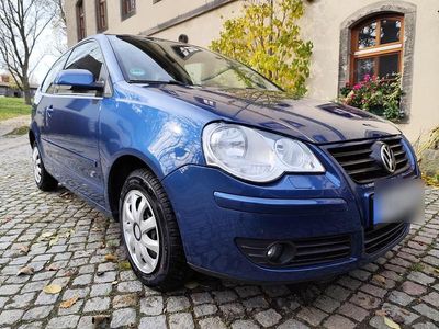 Gebraucht VW Polo Trendline 80 PS (58 kW) 2008 Blau Kleinwagen