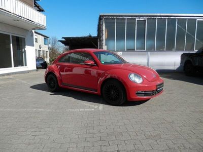 VW Beetle