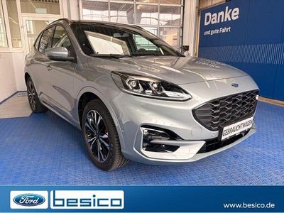 Usata Ford Kuga ST-Line X 224 CV (164 kW) 2024 Argento SUV