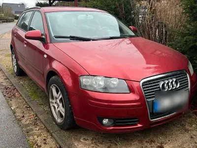 Gebraucht Audi A3 116 PS (85 kW) 2008 Andere farben Kleinwagen
