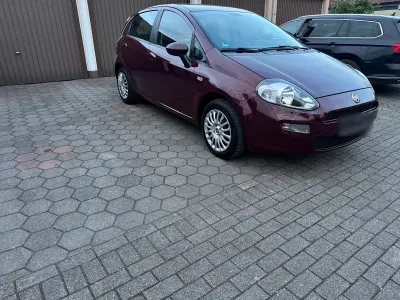 Usata Fiat Punto More 70 CV (51 kW) 2013 Viola Utilitaria