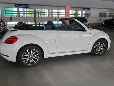 VW Beetle