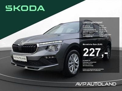Graphitegrau Gebraucht 2024 Skoda Kamiq Selection SUV | 25.950 € (Guter Preis)