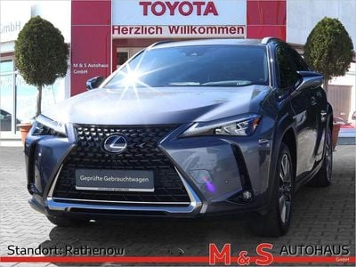 Lexus UX 300e