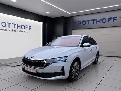 Gebraucht Skoda Octavia 150 PS (110 kW) 2025 Moonweiß perleffekt Kombi